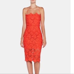 Bardot Red Lace Sheath Dress